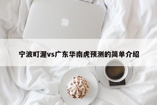宁波町渥vs广东华南虎预测的简单介绍